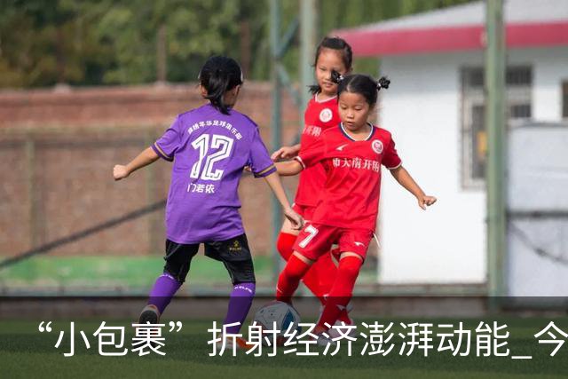 “小包裹”折射经济澎湃动能 今年前8个月邮政行业寄递业务量稳步攀升